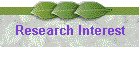 Research Interest