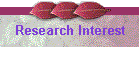 Research Interest