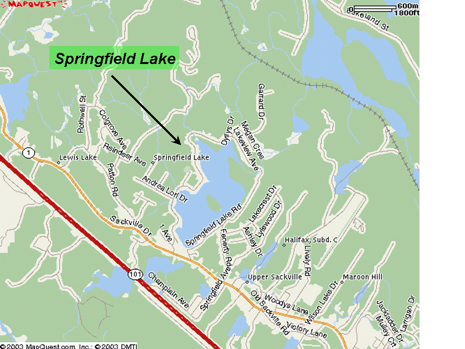 Springfield Lake Region Maps