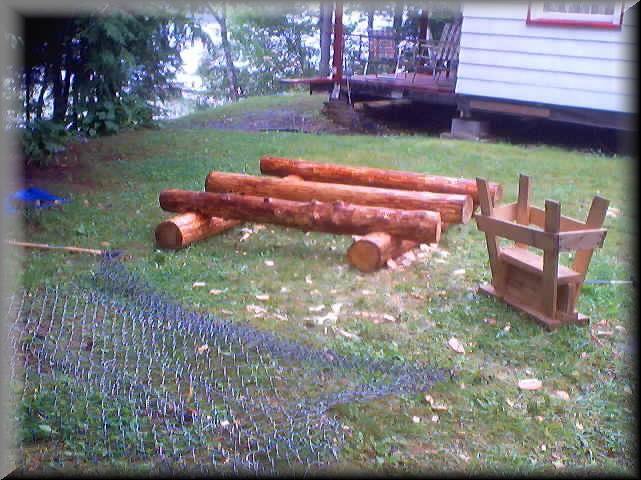 SLW_LoonNestPlatform17
