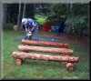 SLW_LoonNestPlatform09