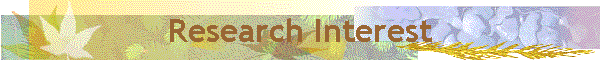 Research Interest
